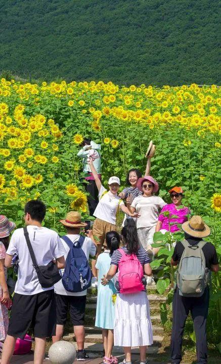 阿里旅行客户端领取阿里商旅官网首页-第8张图片-太平洋在线下载