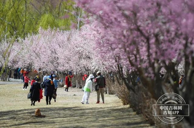 阿里旅行客户端领取阿里商旅官网首页-第37张图片-太平洋在线下载