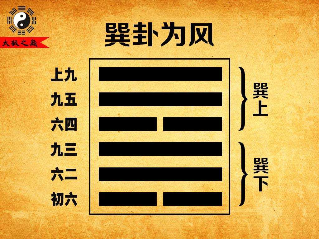 周易解命下载手机版中医解周易pdf-第2张图片-太平洋在线下载