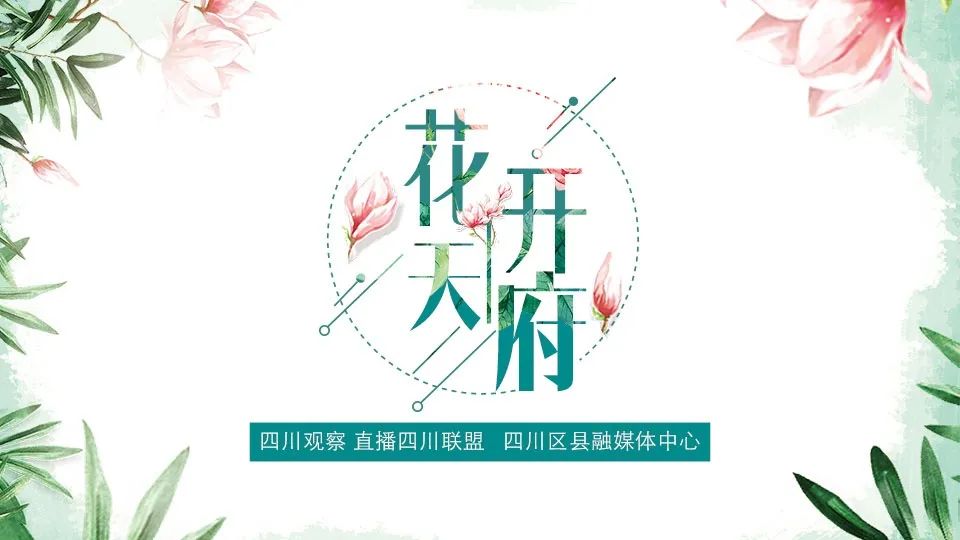 花海苹果版的直播新青楼直播免费版下载-第2张图片-太平洋在线下载