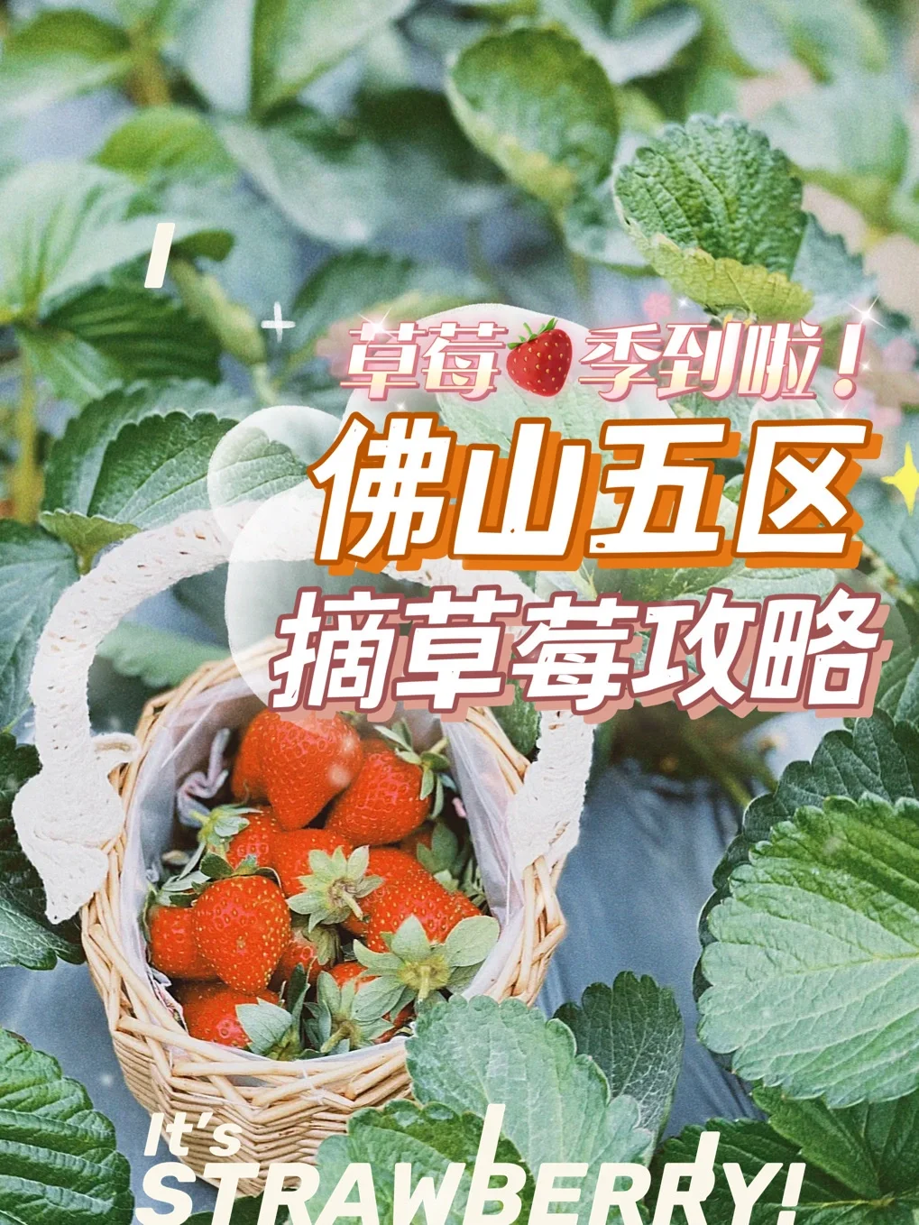 摘草莓攻略苹果版仙剑98苹果版攻略