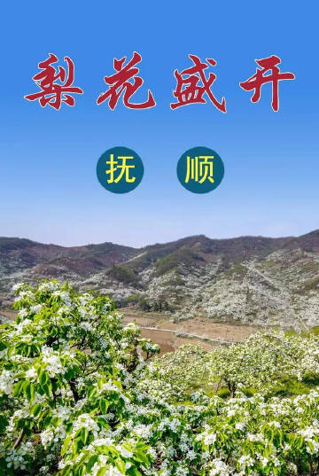 抚顺行苹果版抚顺苹果售后点在哪里-第2张图片-太平洋在线下载