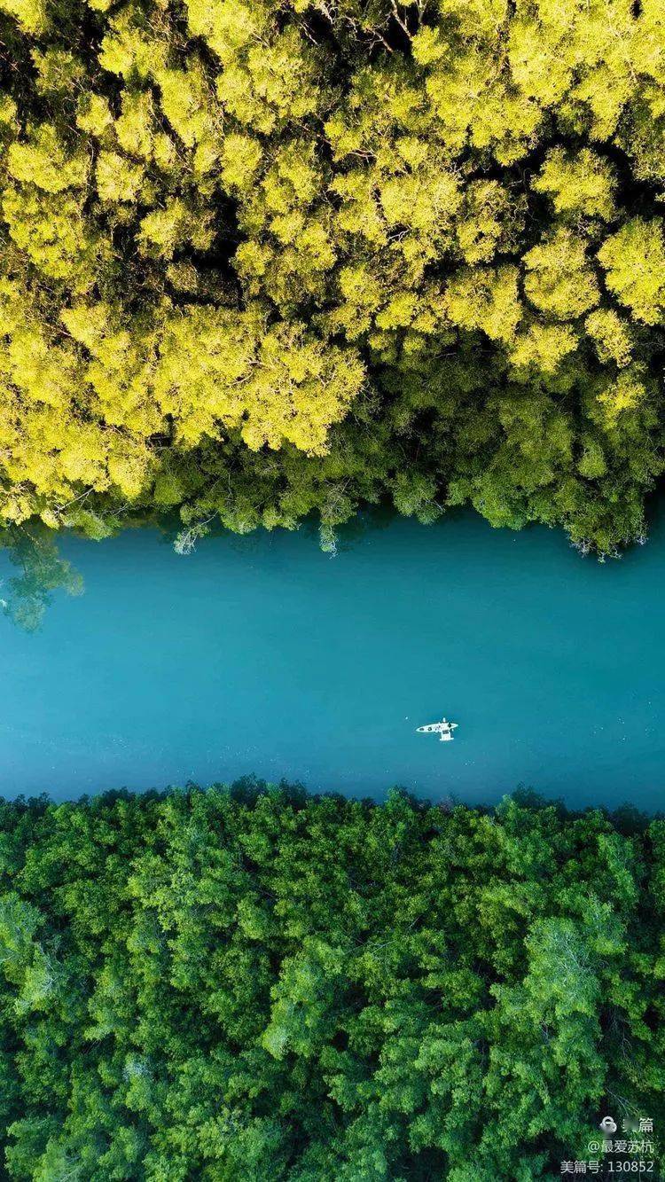 sohu手机版(sohuqcom)-第2张图片-QuickQ官网