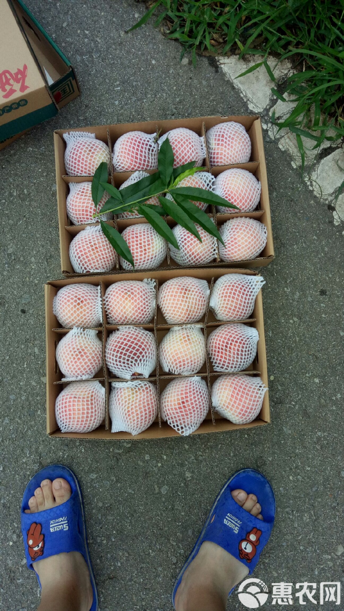 江油红桃3手机版(江油四副牌红桃3手机版)-第1张图片-QuickQ官网