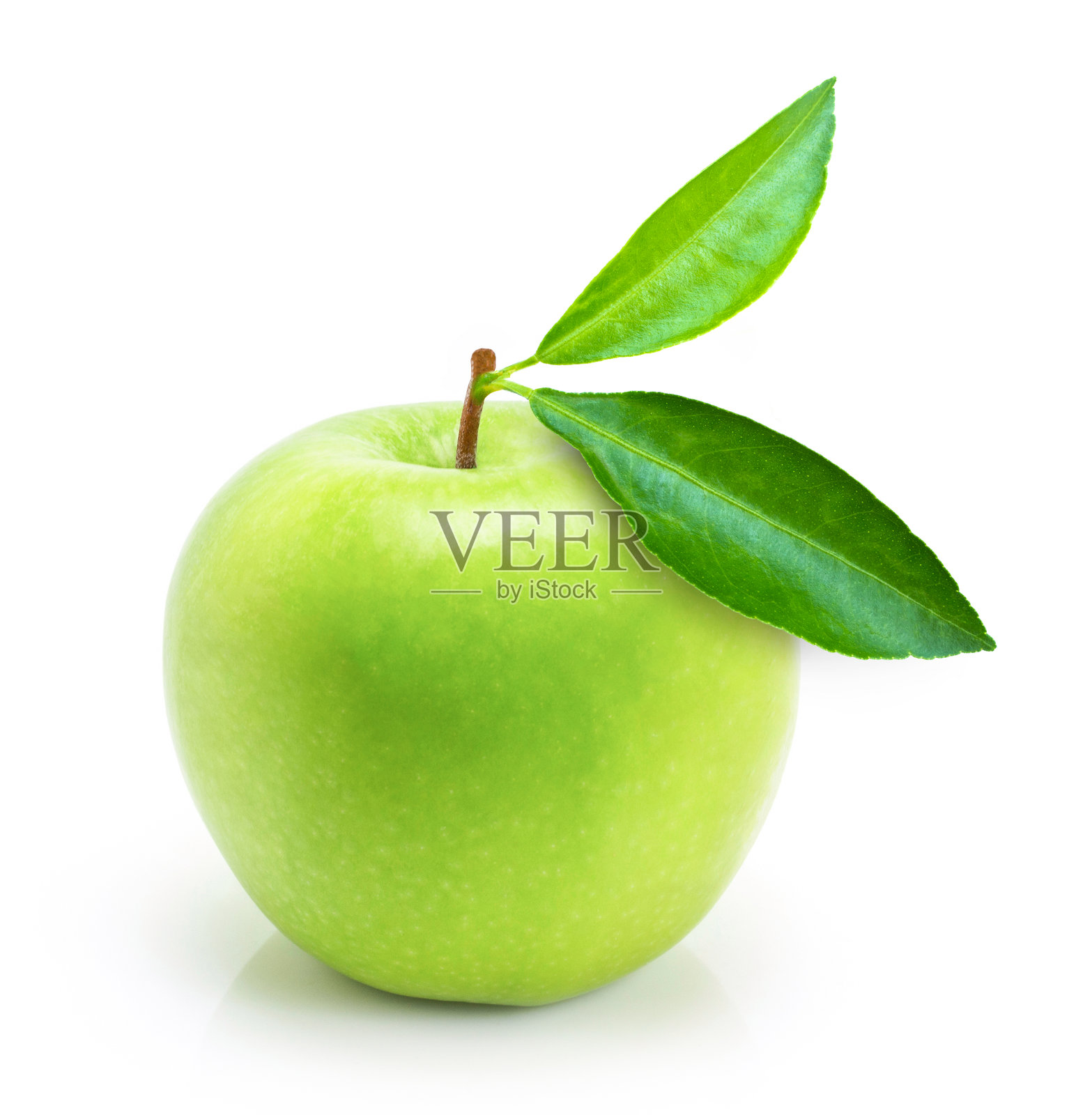 49图库绿版苹果版(49图库免费资料电脑版)-第4张图片-QuickQ官网 49图库绿版苹果版(49图库免费资料电脑版)-第4张图片-QuickQ官网