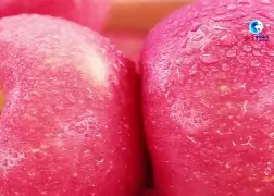 noxcleaner苹果版(noxcleaner255)-第4张图片-QuickQ官网 noxcleaner苹果版(noxcleaner255)-第4张图片-QuickQ官网