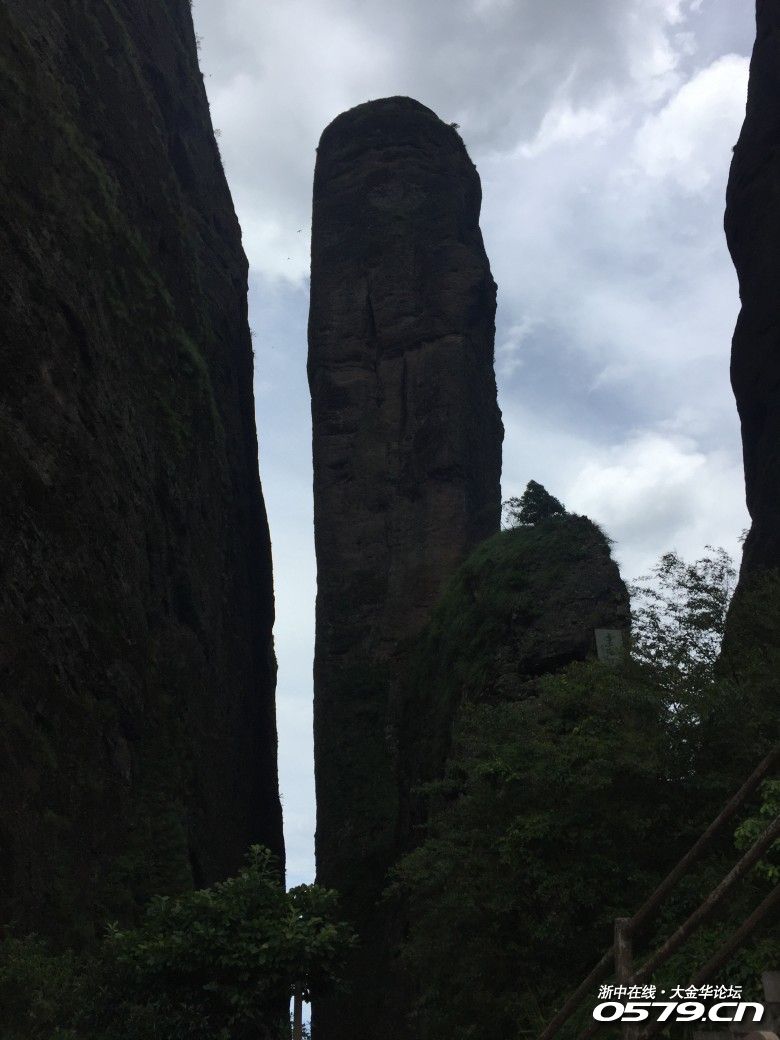 浙中在线手机版(浙中在线是什么单位)-第5张图片-QuickQ官网