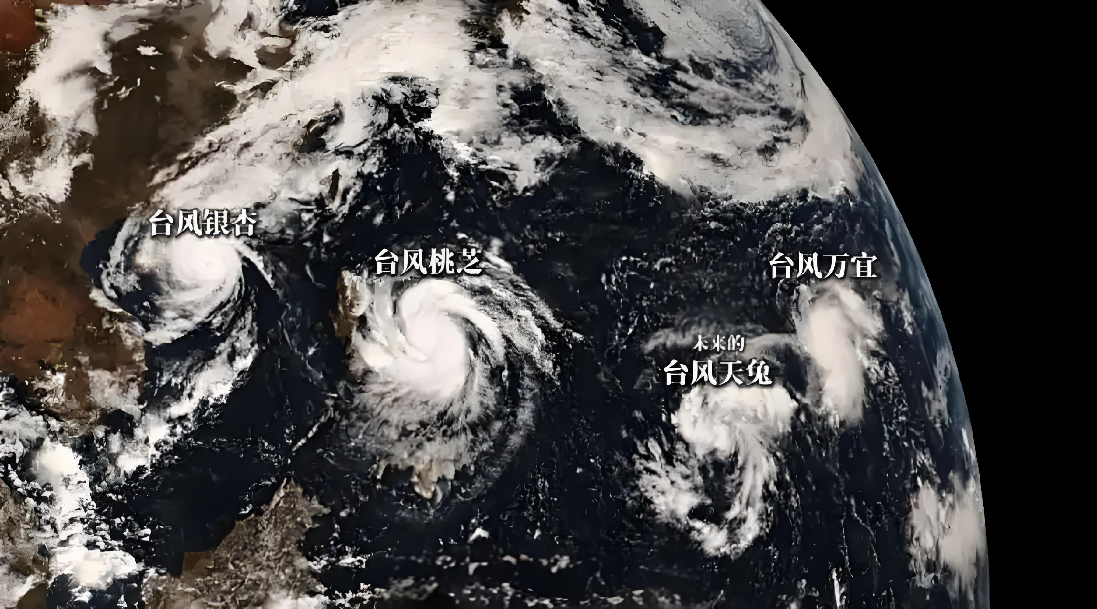 奇葩台风合集手机版(奇葩台风合集手机版免费观看)-第3张图片-QuickQ官网