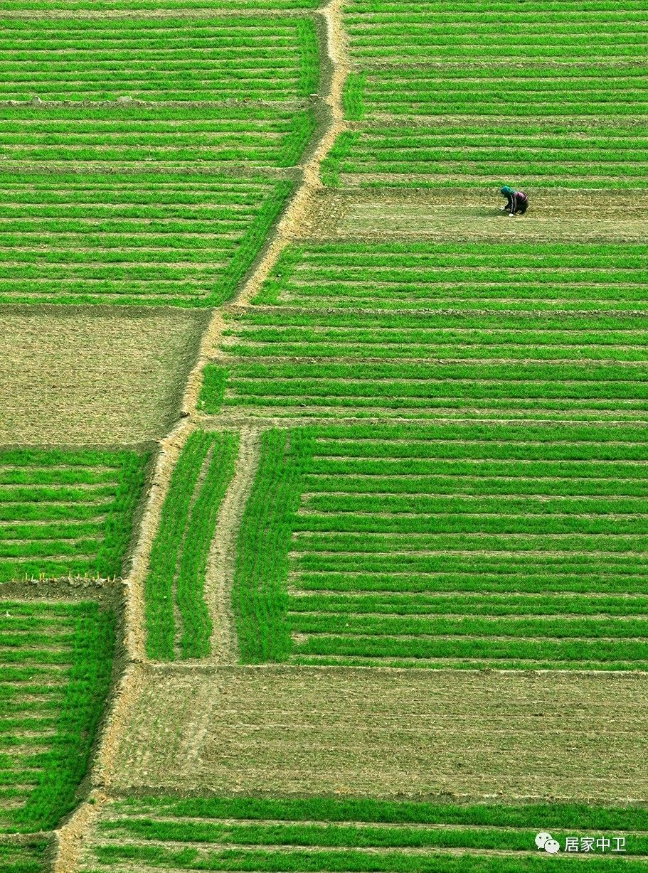 城市快讯中卫手机版(中卫市新闻传媒集团官网)-第4张图片-QuickQ官网