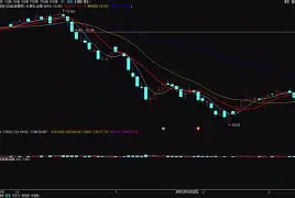 大智慧手机版选股公式(手机大智慧条件选股在哪)-第2张图片-QuickQ官网